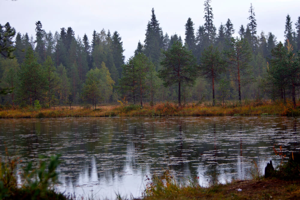 Wasser bei Ranua, Finnisch-Lappland, im Herbst