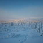 Urho Kekkonen Nationalpark in Finnisch-Lappland im November