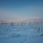 Urho Kekkonen Nationalpark in Finnisch-Lappland im November