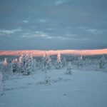 Schneelandschaft bei Saariselkä in Finnisch-Lappland