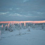 Schneelandschaft bei Saariselkä in Finnisch-Lappland