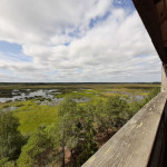 Aussicht vom Vogelbeobachtungsturm im Nationalpark Puurijärvi ja Isosuo