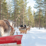 Rentierschlittenfahrt in Rovaniemi, Finnisch-Lappland