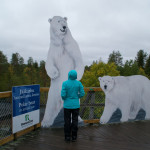 Im Zoo von Ranua in Finnisch-Lappland