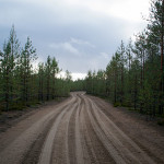 Sandstraße bei Lohiniva in Finnisch-Lappland im Herbst