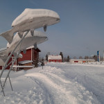 lohiveistokset in Pelkosenniemi im Januar