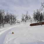 Wegweiser Richtung Saana-Fjell in Kilpisjärvi im Winter